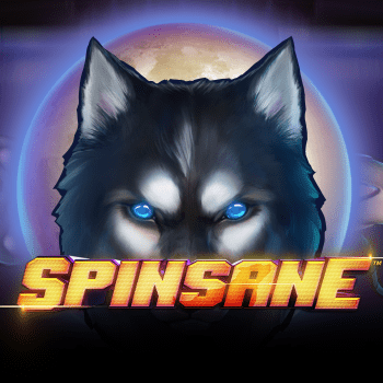 Spinsane