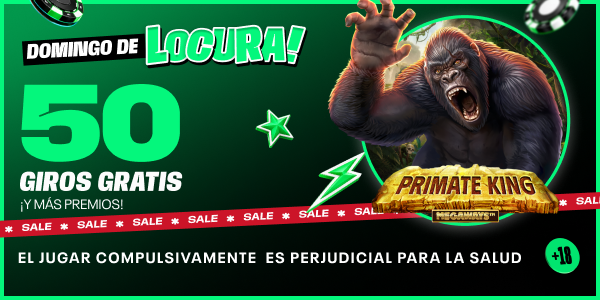 ¡Domingo de locura! SALE